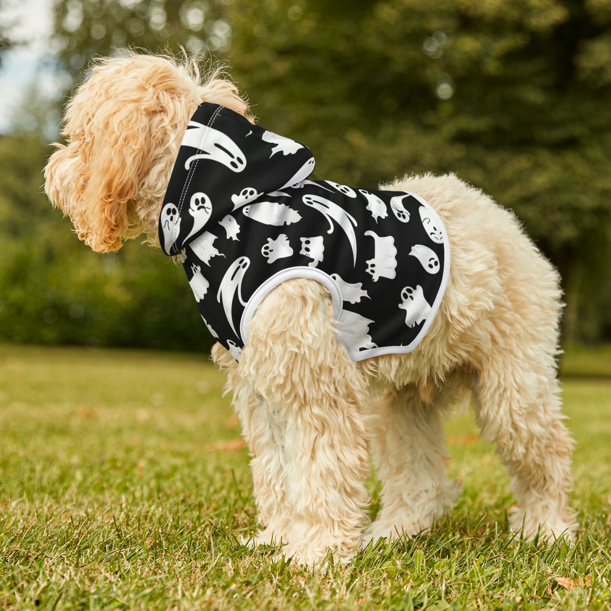 Scared & Alone Boo-tiful Pet Hoodie